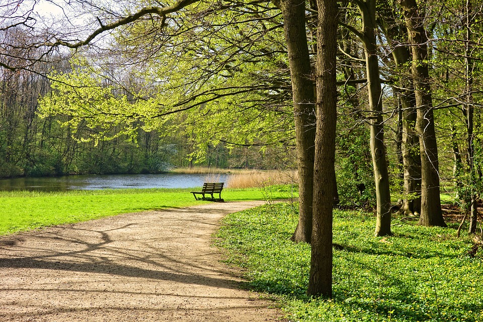 Activité plein air