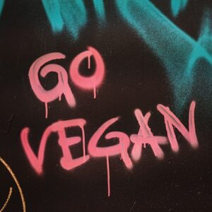 Go vegan chaussures